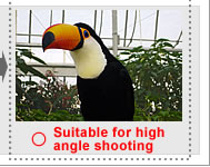 Suitable for high angle shooting