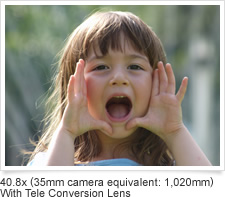 40.8x (35mm camera equivalent: 1,020mm) With Tele Conversion Lens