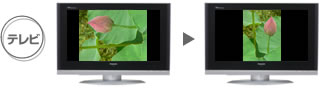 テレビ