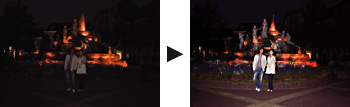High-Powered Auto Flash. Clear Images of the Subject at 15.5 Meters and in the Dark