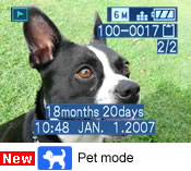 New Pet mode