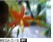 MEGA O.I.S. OFF