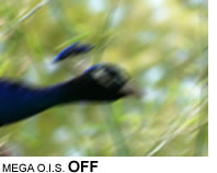 MEGA O.I.S. OFF