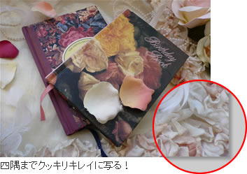 �|��までクッキリキレイに写る�I