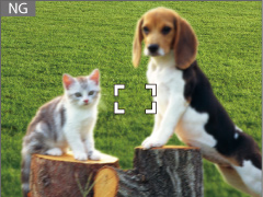 NG