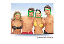 * Simulated image