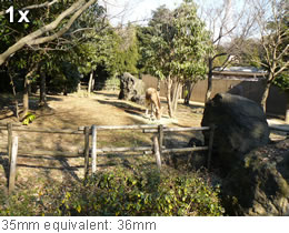 1x 35mm equivalent: 36mm